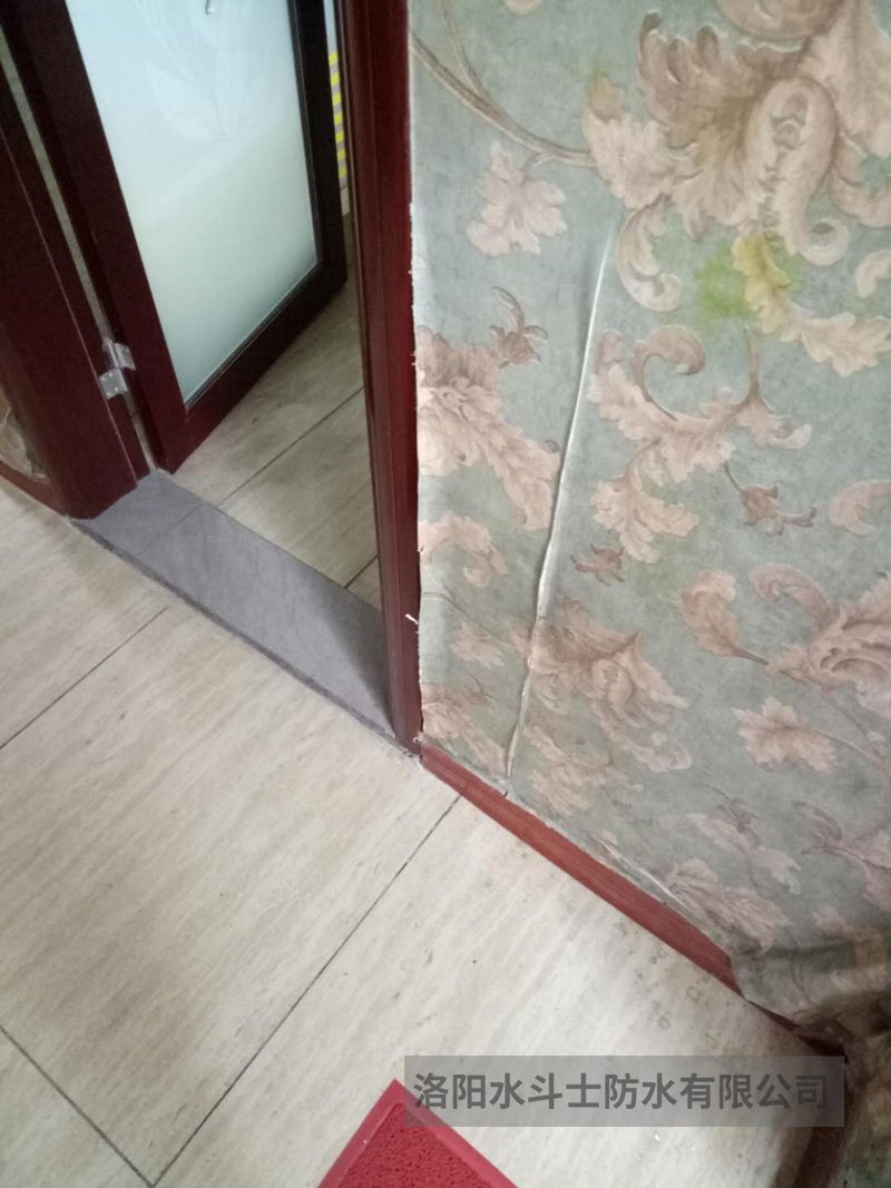 衛生間滲漏維修案例 (17)